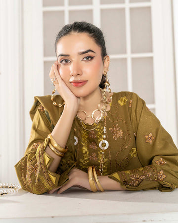 Nayab by Aalaya Winter Vol 01 '25 D 08